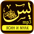 Сура ясин и мулк (аудио). APK