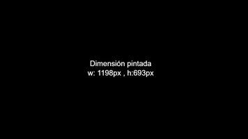 Dimensiones de la pantalla Affiche