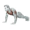 Pushup APK