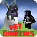 Dragons Pets Mod for Minecraft