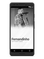 Fernandinho 포스터