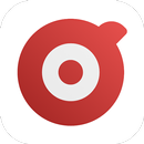 Danløn APK