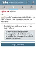 Den Danske Ordbog screenshot 2