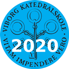 VK 2020 icon