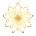 Prana Flow Yoga & Terapi