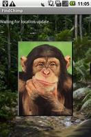 FindChimp plakat