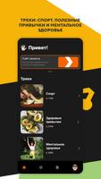 Первые 15 Cartaz