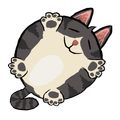Fluffy Flow Cats