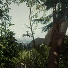 The Forest Mobile icon