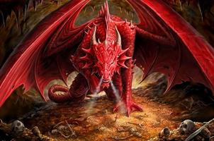 Dragon HD Wallpaper Affiche