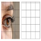 Drawing Grid Tool icône