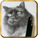 Pencil drawings for beginners icon