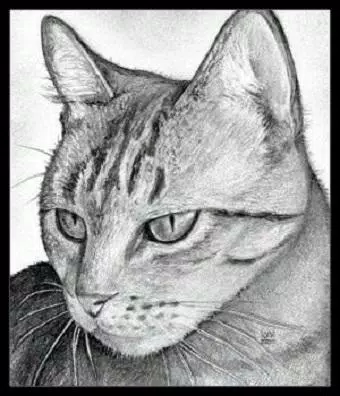 Descarga de APK de Tecnicas dibujos a lapiz en 3d para Android Descarga de APK de Tecnicas dibujos a lapiz en 3d para Android