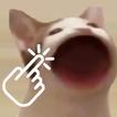 ”Pop Cat