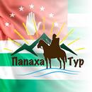 Папаха - такси водитель APK