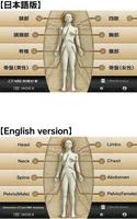 Interactive CT and MRI Anatomy 海报