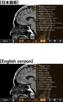 Interactive CT and MRI Anatomy ภาพหน้าจอ 2
