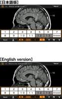 Interactive CT and MRI Anatomy 截图 3