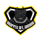 Icona Dropped Off Gaming