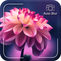 Blur - DSLR Photo blur processing