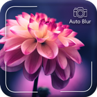 Blur - DSLR Photo blur processing icône
