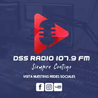 DSS Radio screenshot 3