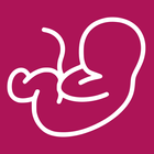 Pregnancy Due Date Calculator icon