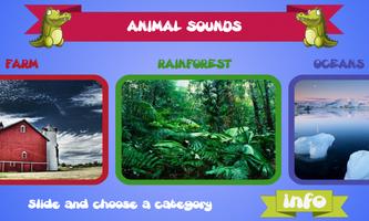 Animal Sounds Affiche