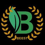 BST SUPER UDP - FAST VPN