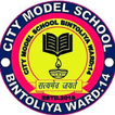 City Model School Bintoliye
