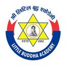 Little Buddha Academy ( +2 ) : APK