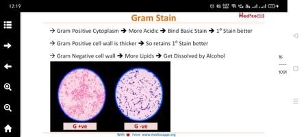 Medico Apps: Microbiology ảnh chụp màn hình 2