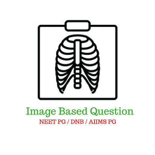 Clinical & Image Based Questio