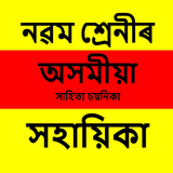 Class 9 Assamese Solution icon