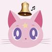 Achar Gato