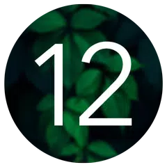Dark Minimal EMUI 10/11 Theme APK download