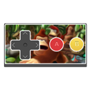 Donkey (N/SN)-ES Emulator APK