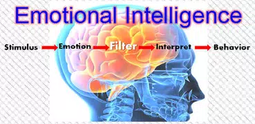 Emotional Intelligence EQ  IQ