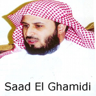 Saad Al Ghamdi Quran MP3 biểu tượng