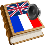 French dictionary icon