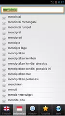 Скачать kamus XAPK
