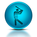 Cricket Scores