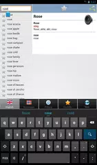 ordbok Norwegian XAPK Herunterladen