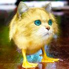 Mix Aminals. Animal morphing アイコン