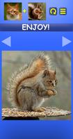 Mix Aminals. Animal morphing スクリーンショット 1