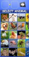 Mix Aminals. Animal morphing Affiche