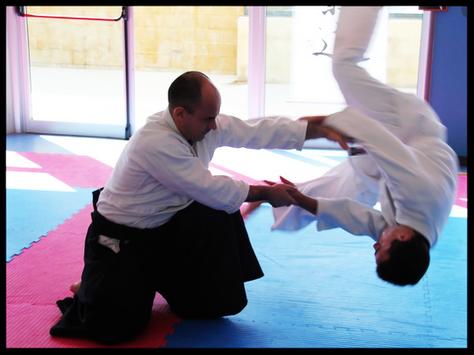 Learn Aikido Fast Aikido Course At Home For Android Apk Download
