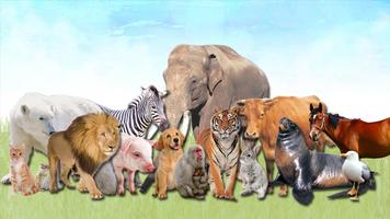 Animals for Kids bài đăng
