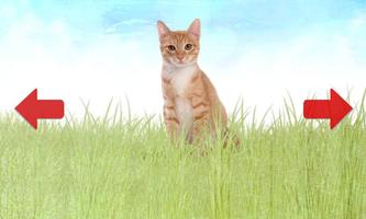 Animals for Kids ảnh chụp màn hình 1