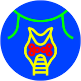 Icona Endocrinologie